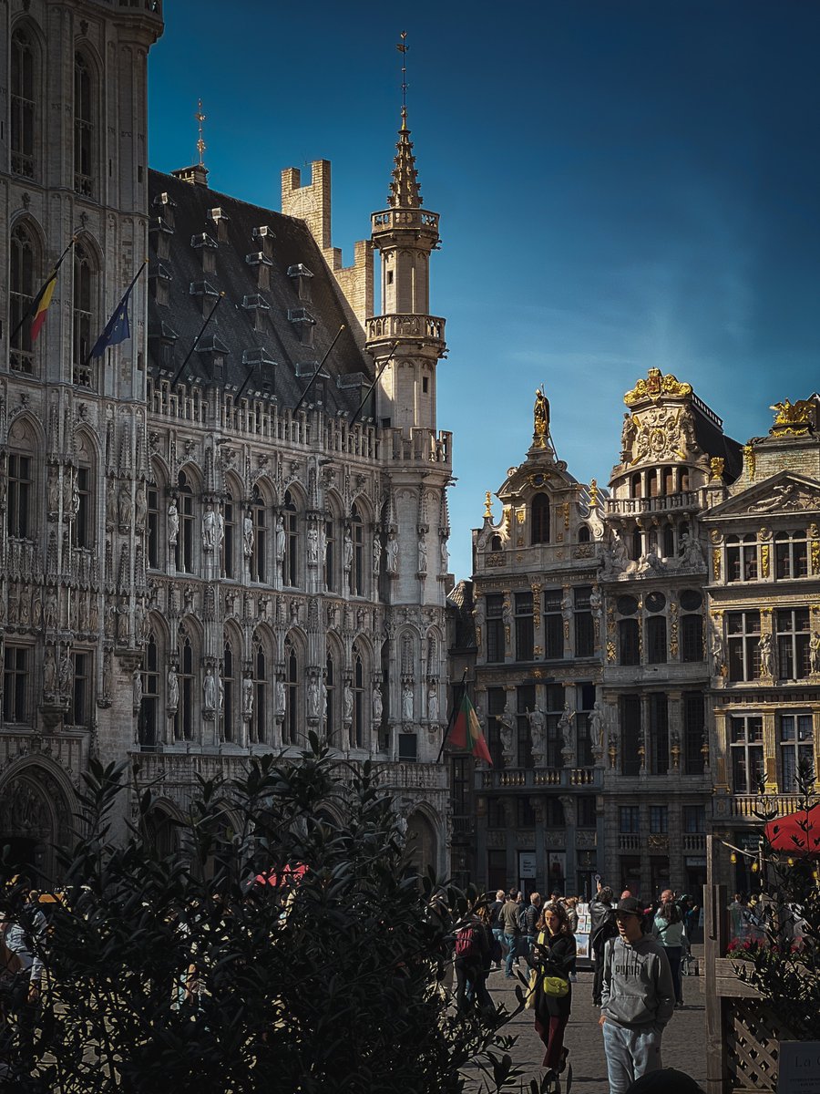 Time for a Belgium appreciation post, thank you

🇧🇪☕️