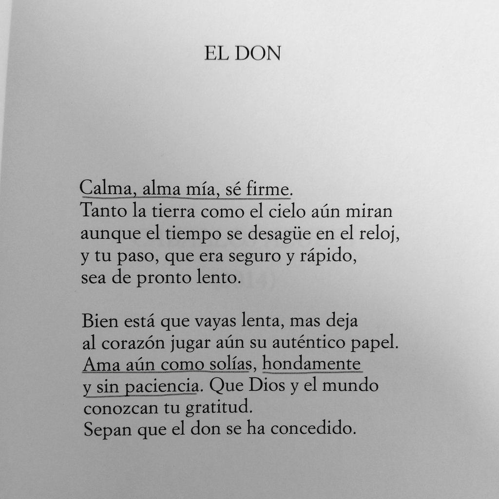 Ismael López Gálvez tweet media