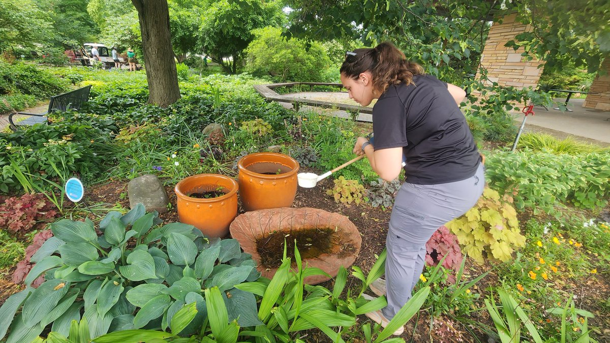 Becky Trout Fryxell tweet media