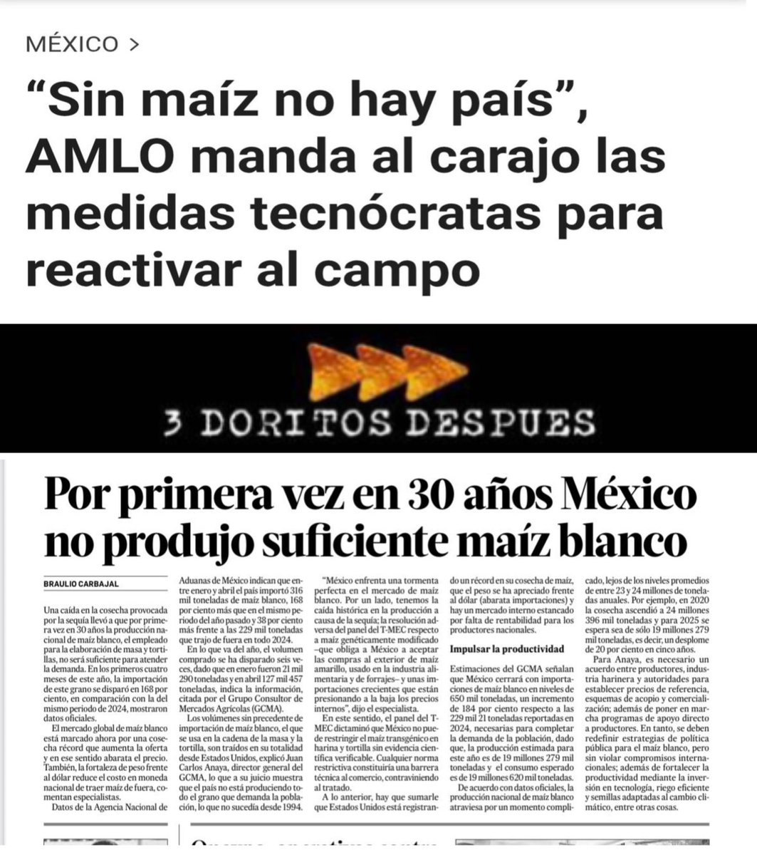Gracias AMLO por crear una crisis de maíz.