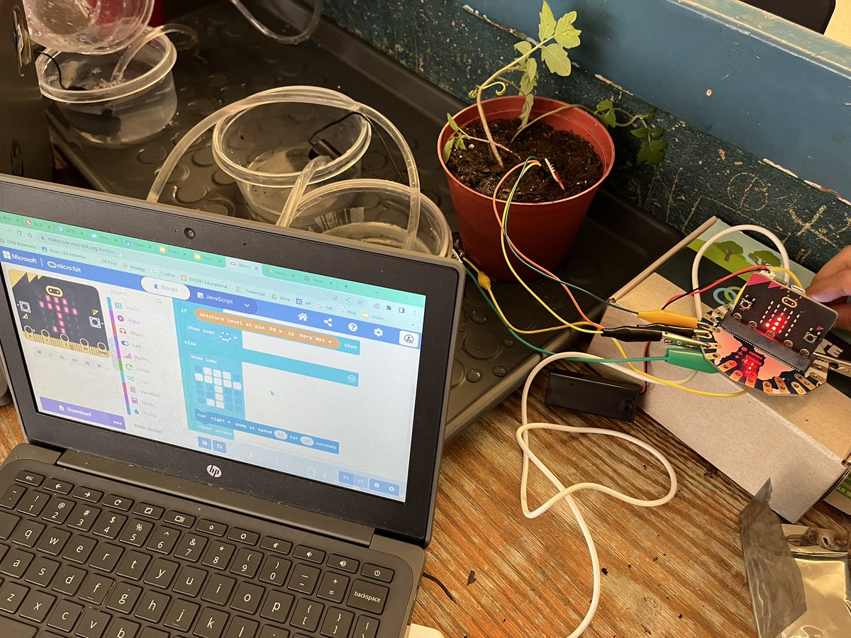 McM_MsT's tweet image. Coding an automated water system (pump &amp;amp; moisture sensor) students plant sunflower seeds &amp;amp; test their code for moisture sensor #WaterIsLife💦#TeachSDGs #STEM @InkSmith3D 
Taking care of our @Tomatosphere plants!