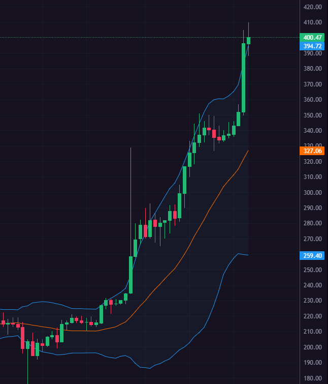 anhdres 🌿 tweet media