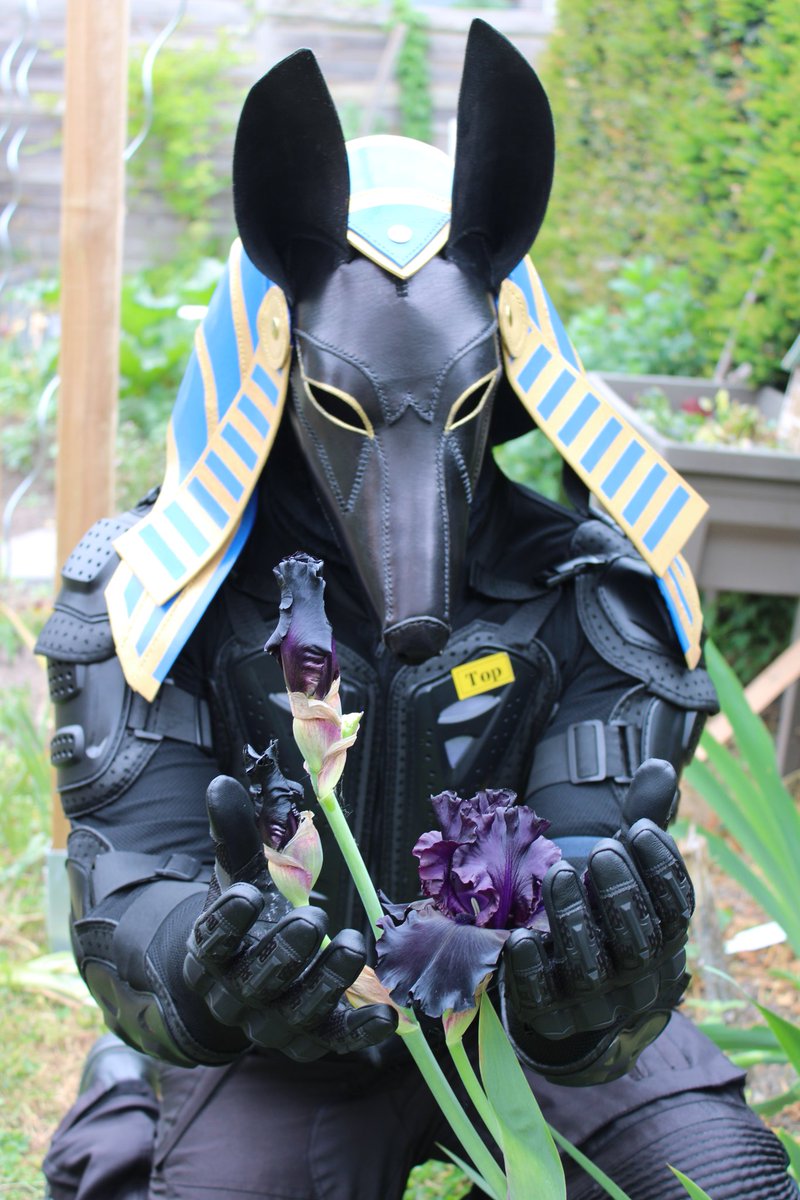 Anubis and the Black Iris flower.
Photo taken by <a href="/SzurkyWolf/">Szürky Farkas @NFC</a>. ❤️