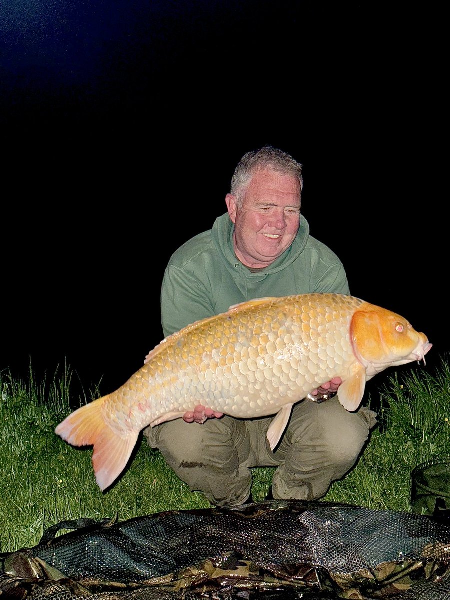 Been some time since I posted anything on here. But what a beautiful Capture to post. A mid 30 koi <a href="/mistralbaitsUK/">Mistral Baits</a> new bait THE URGE! Go have a look on the new website to MISTRALBAITS.CO.UK