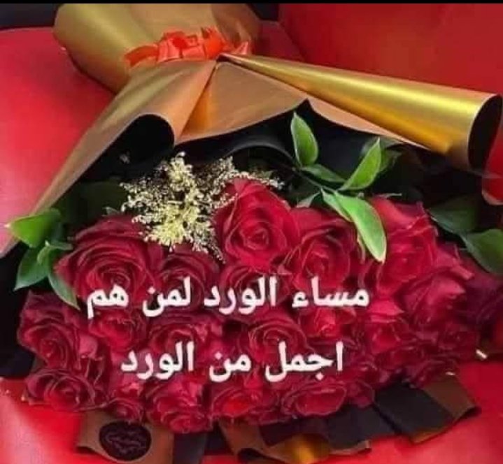محمد ديب يعقوب tweet media
