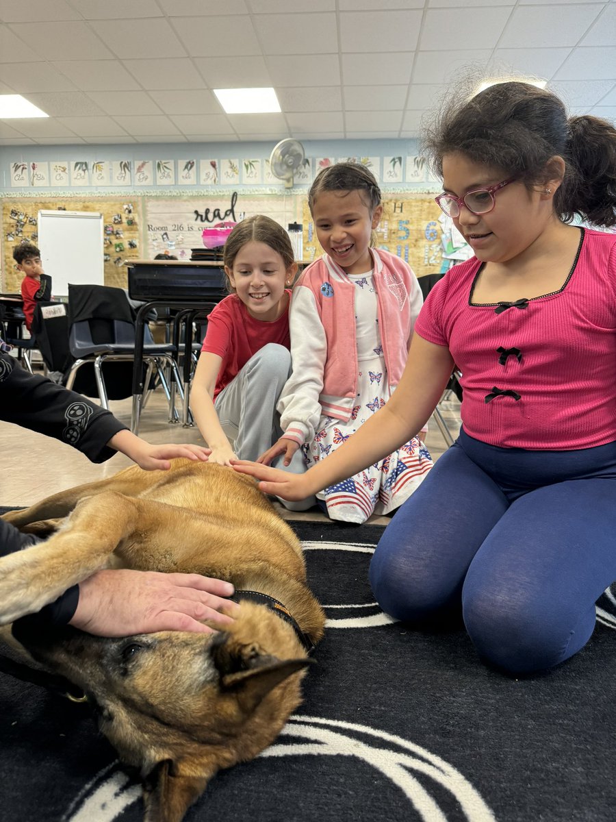 Ms. Hefferon tweet media