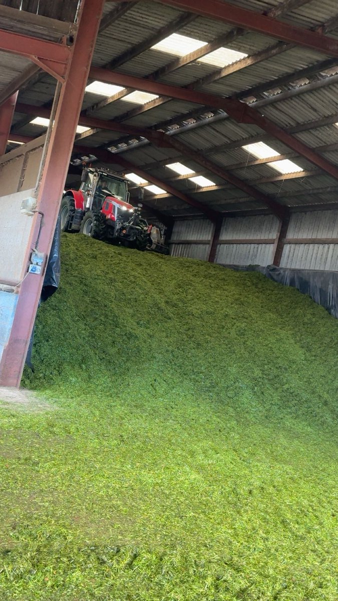 Rob Ostle tweet media