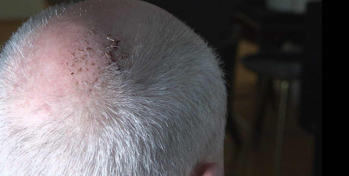 St John Alexander tweet media