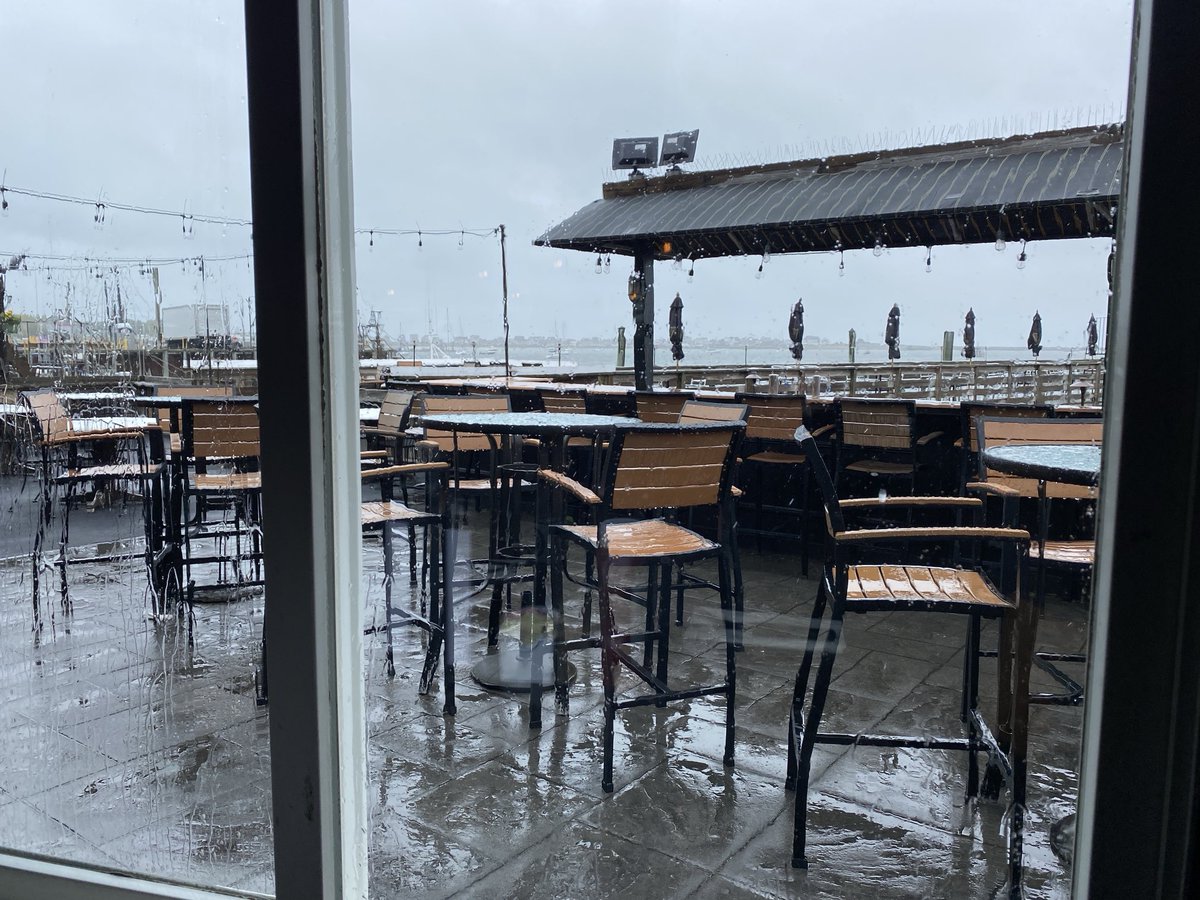 Beth Germano tweet media