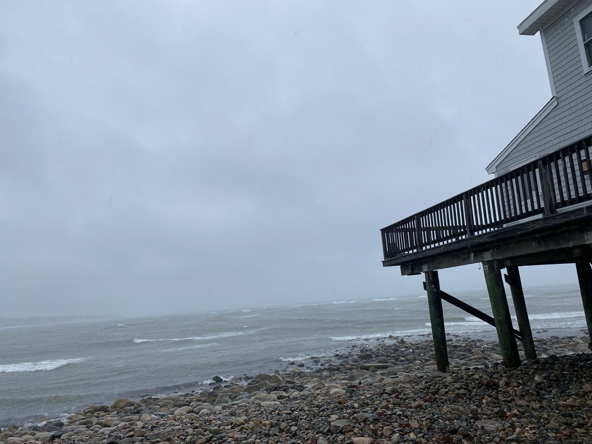 Beth Germano tweet media