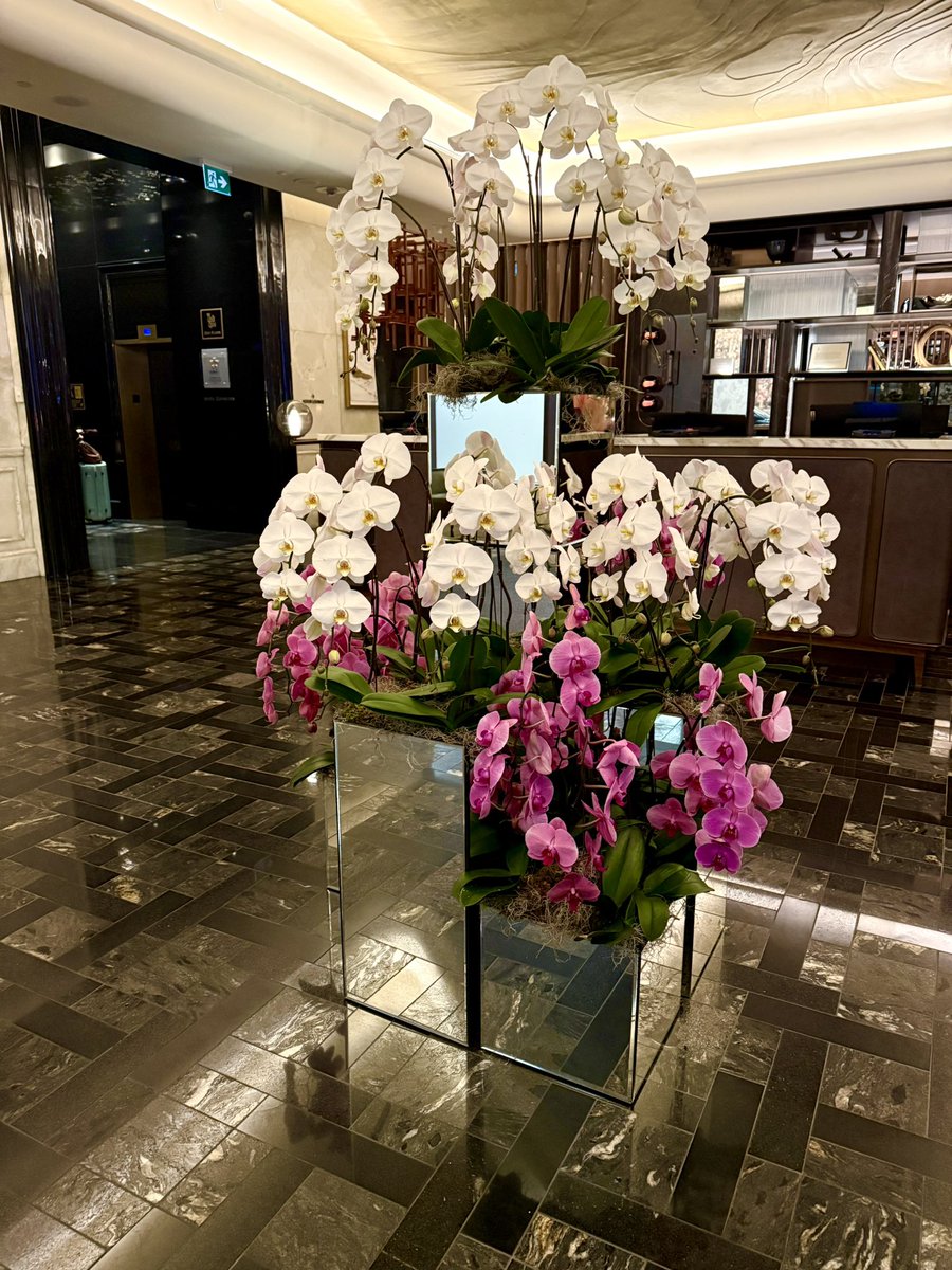 Toronto, you’ve been a dream. In the arms of the most exquisite lovers, I felt like a princess. Fairytales do, indeed, come true.