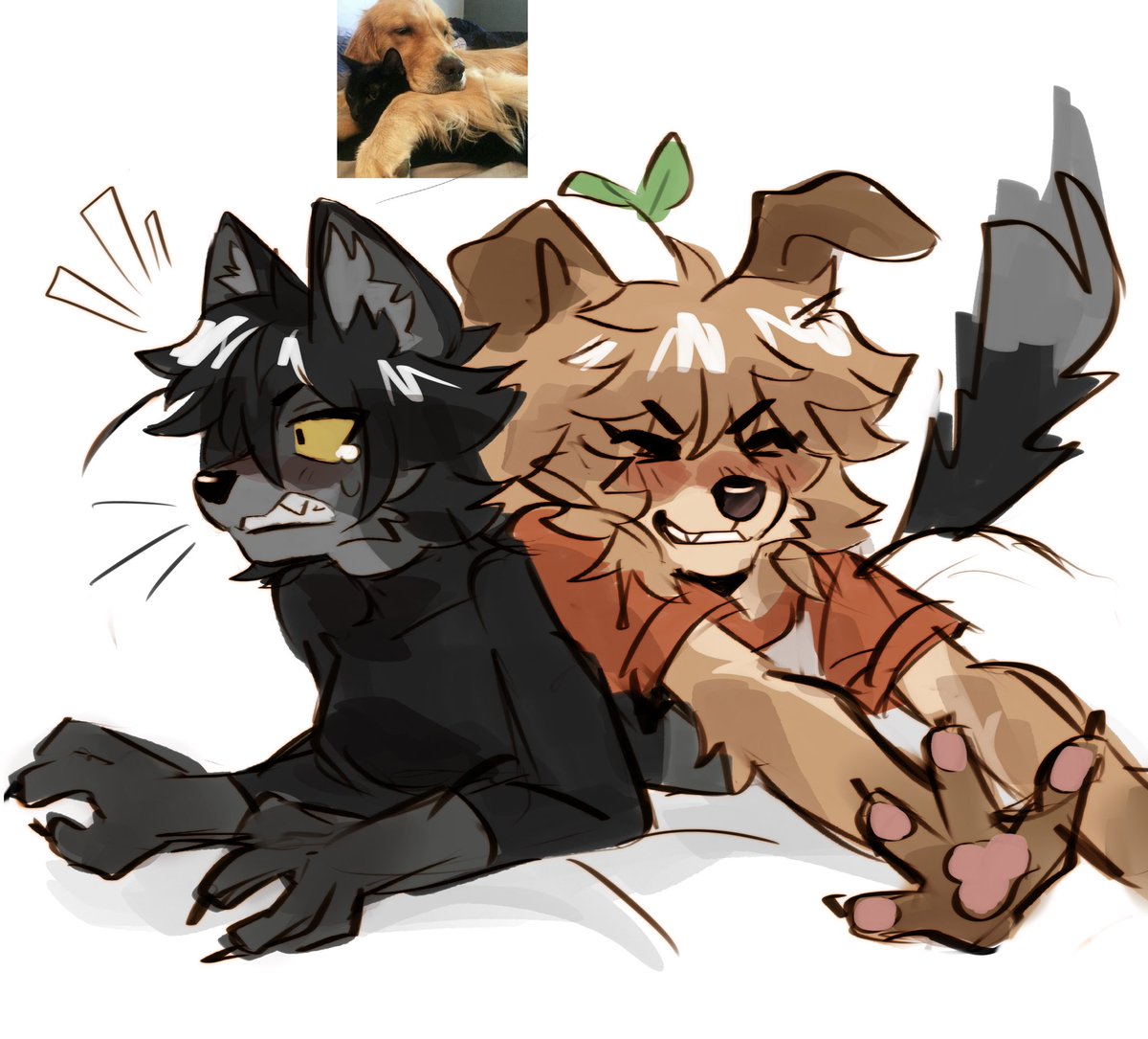 atkaso's tweet image. mor lesbians