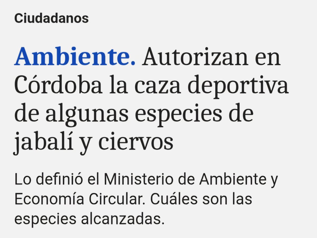 María Claudia Luján tweet media