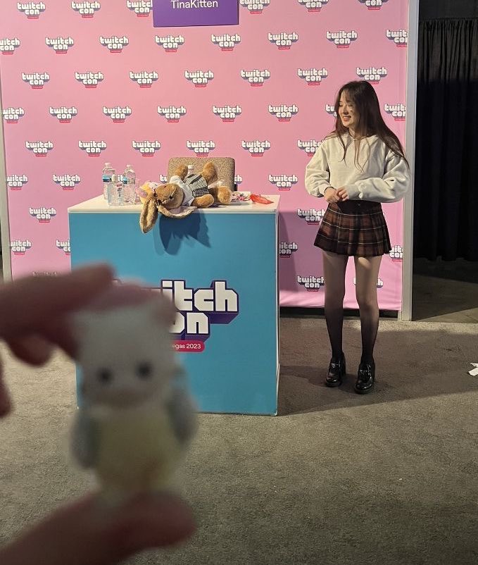 daily tina (@mytinakitten) on Twitter photo 