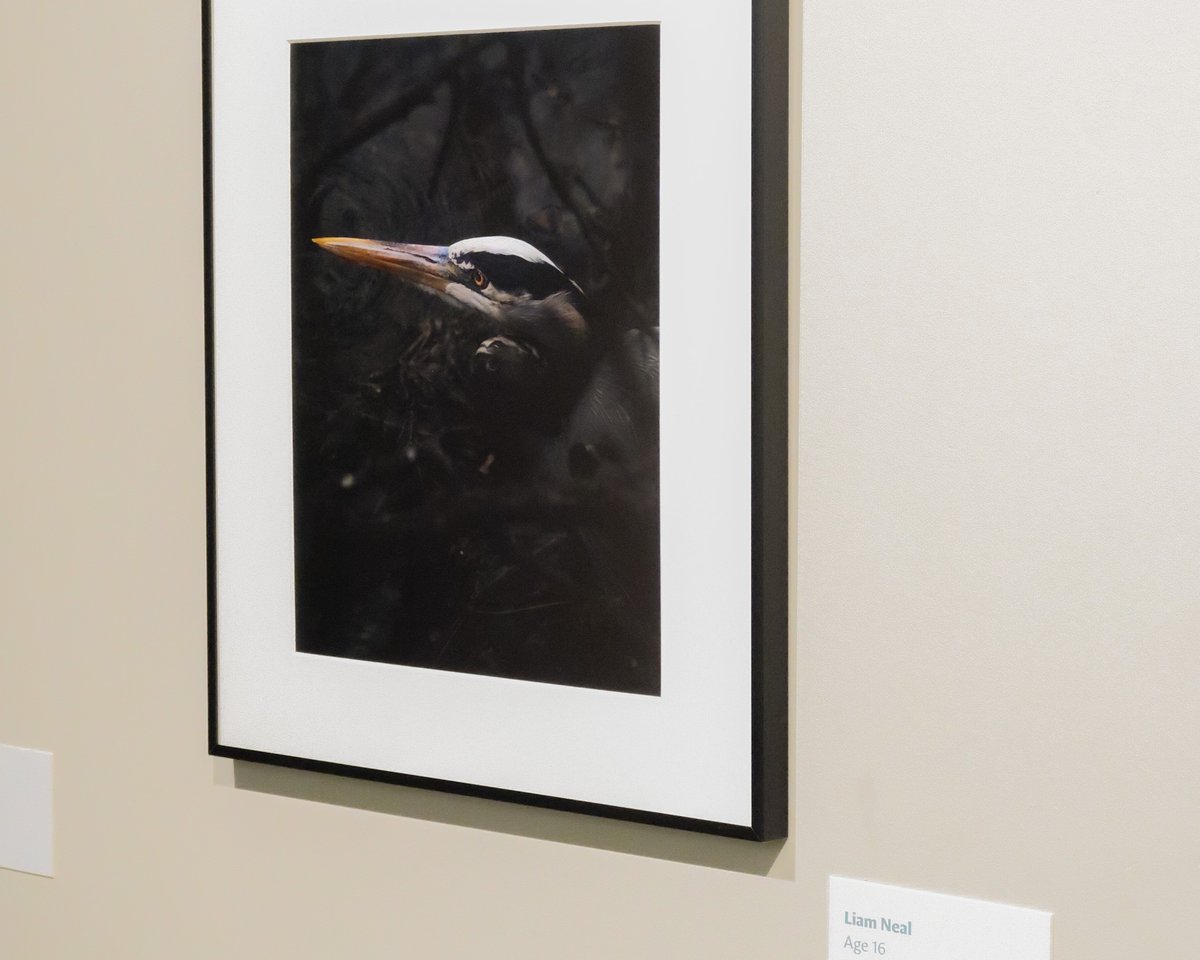 Picture Your World connects youth to the natural world through the lens of a camera 📸

Now on view at the Witte, this stunning photo exhibition showcases images of Texas wildlife and flora captured by young photographers.
#WitteMuseum #PictureYourWorld #TexasWildlife