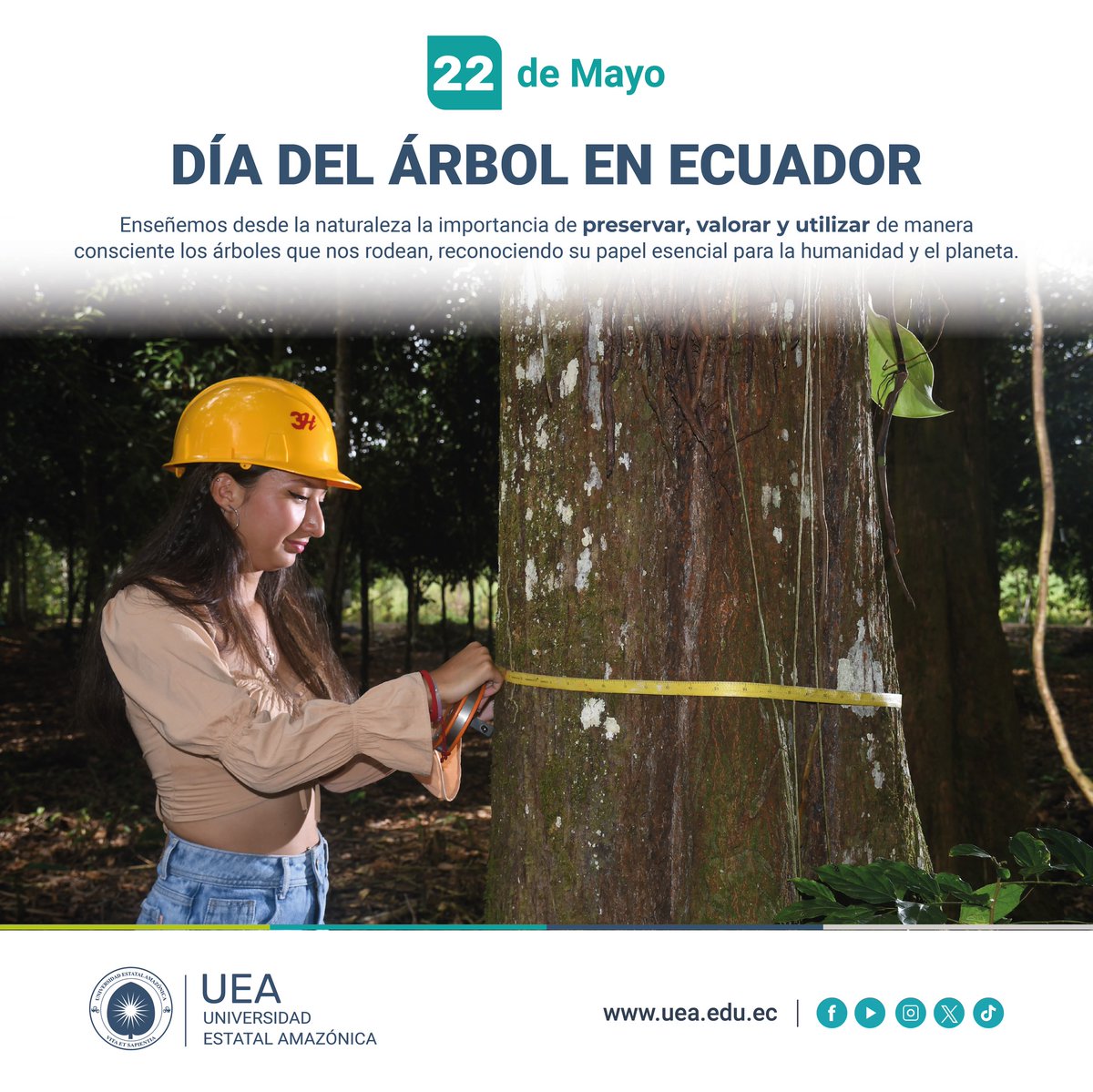 #Efemérides  | En el Día del Árbol en Ecuador, la Universidad Estatal Amazónica destaca la importancia de los árboles en la preservación de nuestros ecosistemas y el bienestar de las comunidades. 
#UEAesExcelencia📷