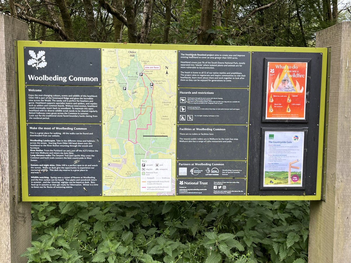 darrel_bryant's tweet image. Spent the day birding in Hampshire, Sussex and Surrey today . Plenty of good birds seen