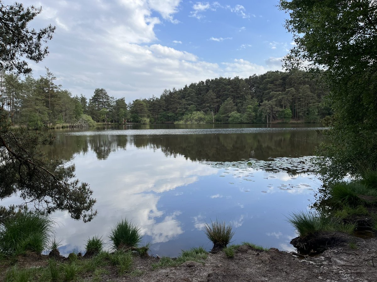 darrel_bryant's tweet image. Spent the day birding in Hampshire, Sussex and Surrey today . Plenty of good birds seen