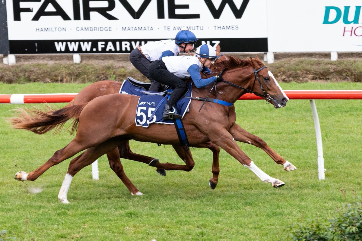 New Zealand Bloodstock (@karakachat) on Twitter photo He can move alright!! #PlanetRed 🪐
Prepared & sold by <a href="/OhukiaLodge/">Ohukia Lodge</a> to <a href="/MickPriceRacing/">Price Kent Racing</a> for $260,000 at the recent 2024 Ready to Run Sale 🏇🌬️
He becomes Admire Mars' first winner in Australia 💥
#WhereWinningBegins✨ He can move alright!! #PlanetRed 🪐
Prepared & sold by <a href="/OhukiaLodge/">Ohukia Lodge</a> to <a href="/MickPriceRacing/">Price Kent Racing</a> for $260,000 at the recent 2024 Ready to Run Sale 🏇🌬️
He becomes Admire Mars' first winner in Australia 💥
#WhereWinningBegins✨