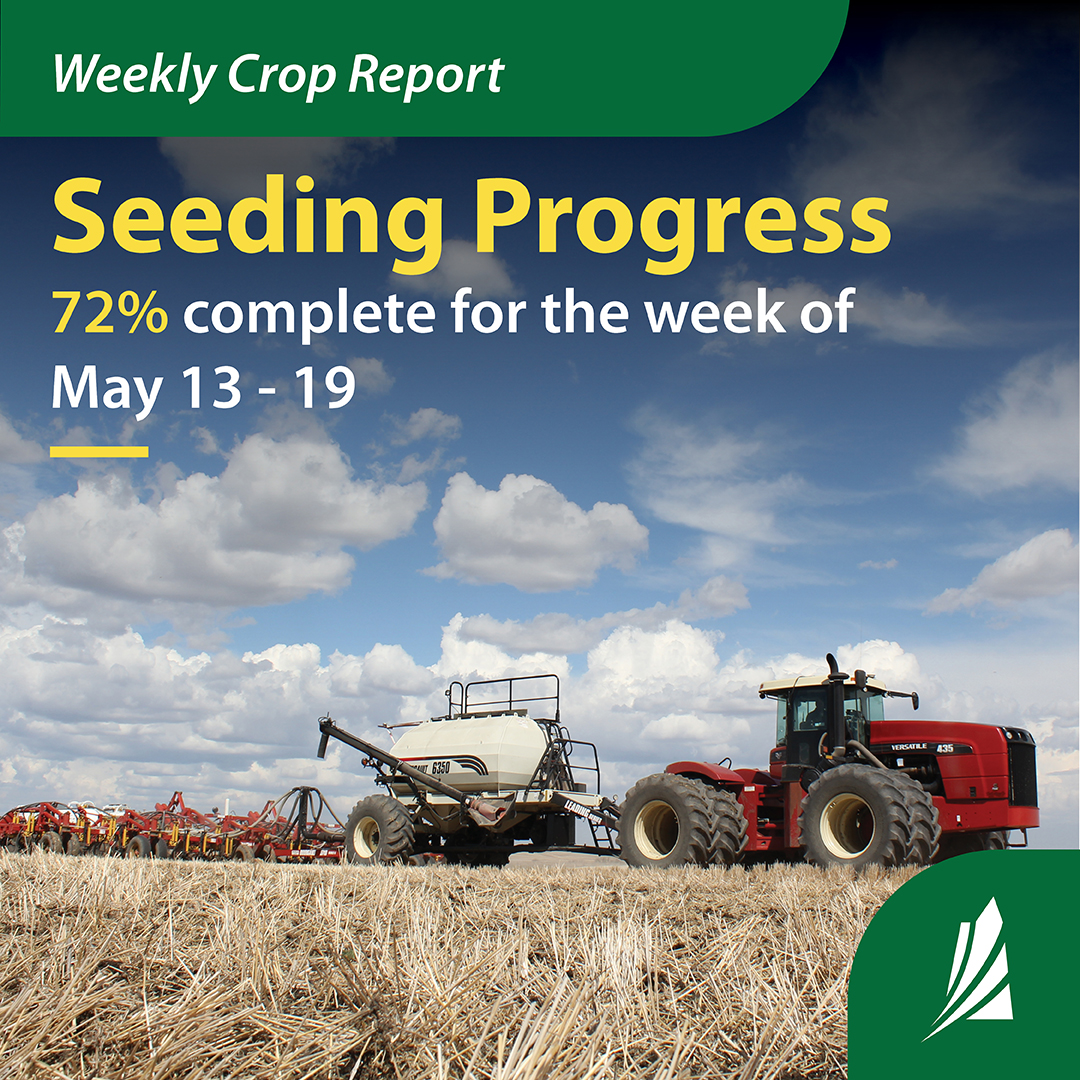 Seeding in Saskatchewan is nearly three-quarters complete with 72 per cent of crops now planted – a 23 per cent increase from last week.

Learn more: bit.ly/3F3Q7PC