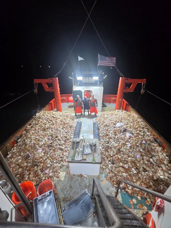 1776_NJ's tweet image. Would you work 10 days for 20 hours a day to make $30k +?
Scalloping is red hot right now. Ive been getting phone calls all week to go on a trip. Looks like I’m finally going this Tuesday. Time to break out the old gear and get ready for a long ride on the pain train.