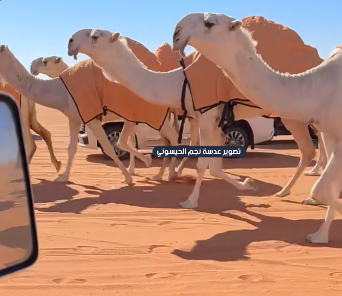 عساس الحدود tweet media