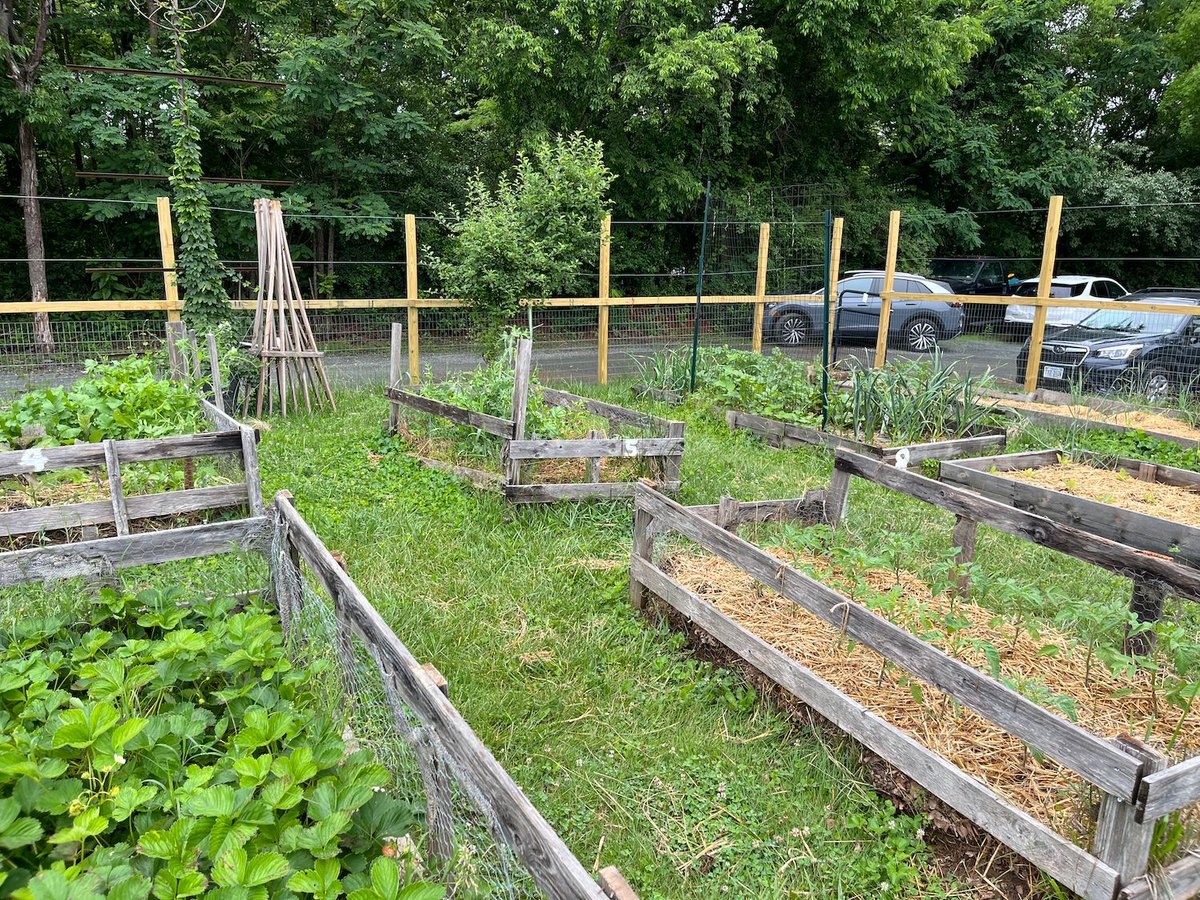 It was wonderful to see our BGF friends at last night's Happy Hour and Project Spotlight for the new Visible Records Common Field Community Garden fence! 🔨 Both the conversation and the drinks were flowing, and it was amazing to see the garden flourishing within the new fence.🌱