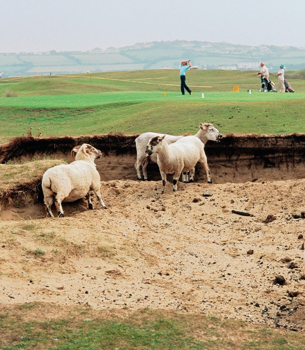 PlayerDesign's tweet image. How can you not love this game… #golf #life #walk #play