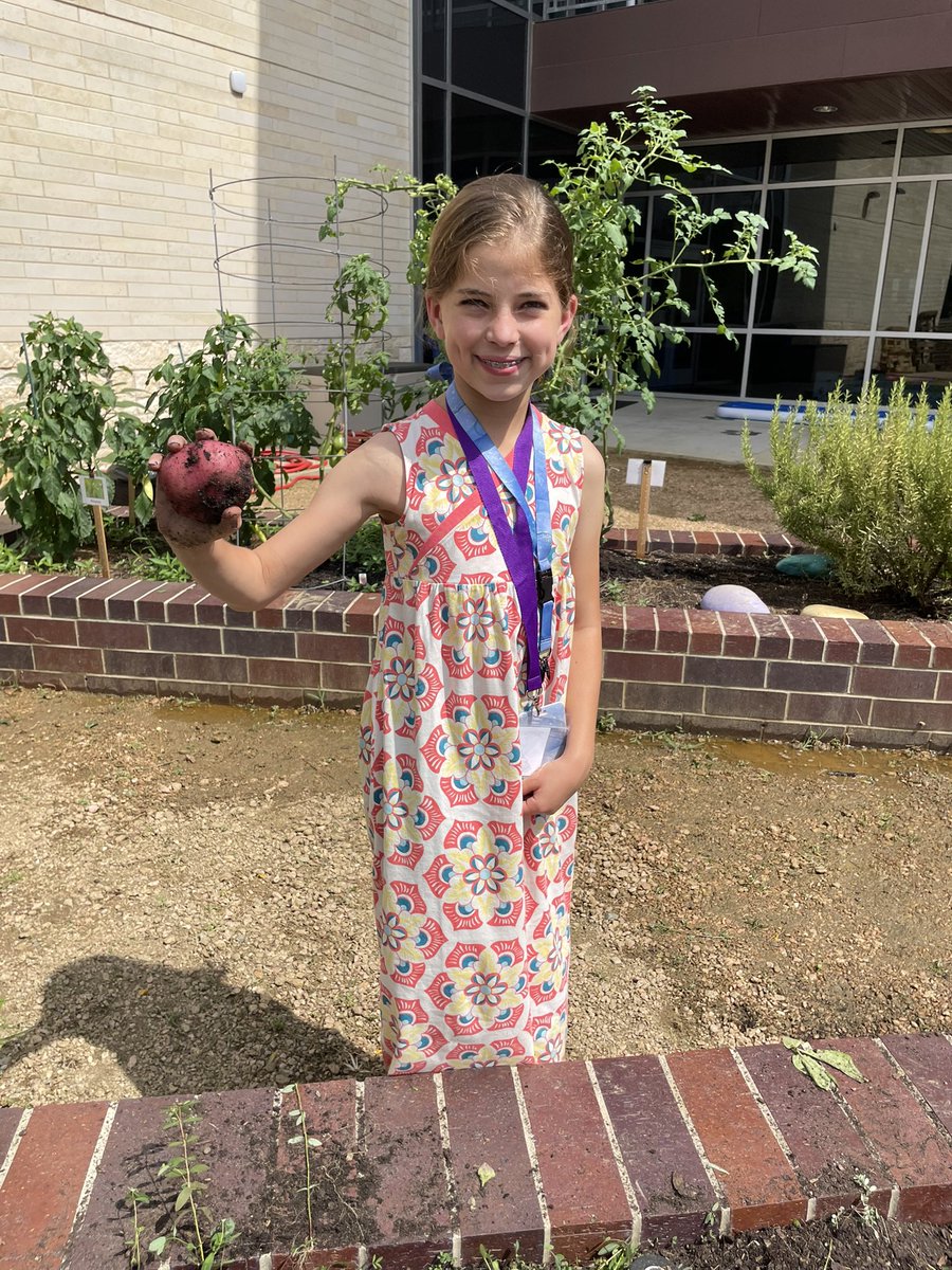 Celise Hamann (@mshamannrtgg) on Twitter photo 4th grade at <a href="/frostwood/">JoAnn Frost</a> is enjoying potato harvesting! <a href="/HillaryHiler/">Hillary Hiler</a> <a href="/readygrowgarden/">Ready to Grow Garden</a> 4th grade at <a href="/frostwood/">JoAnn Frost</a> is enjoying potato harvesting! <a href="/HillaryHiler/">Hillary Hiler</a> <a href="/readygrowgarden/">Ready to Grow Garden</a>