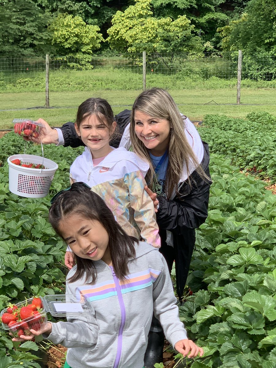 RR_Kindergarten's tweet photo. Rain, Rain, Go Away……we have strawberries to pick today🍓 We had a blast stomping through the mud, playing in the rain, eating yummy strawberries and learning from our local farmers❤️ #teamthompson @TriciaFurtek22 @TimSparbanie https://t.co/868s5xh7Lo