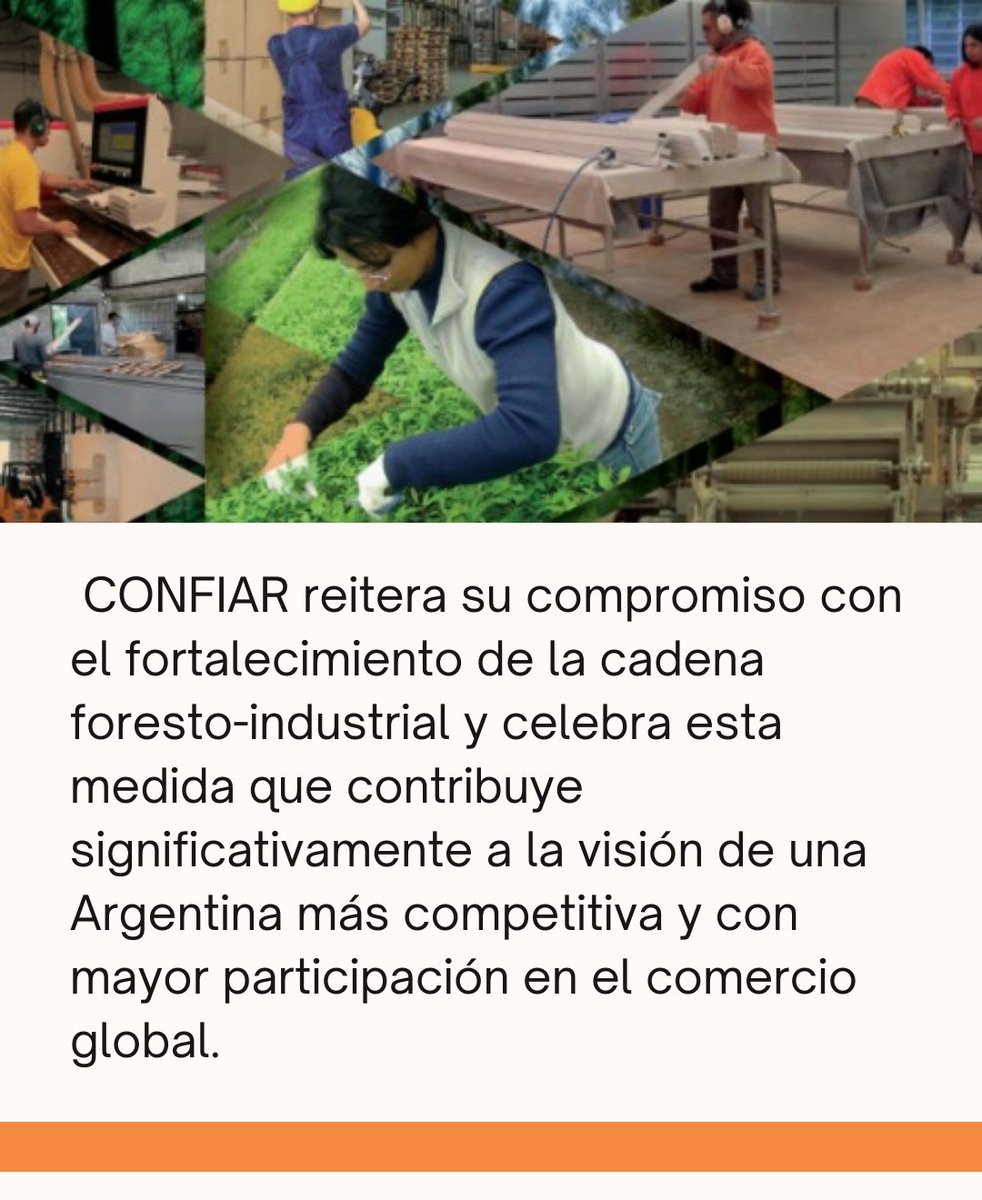 Desde CONFIAR celebramos el Decreto 340/2025, que se establece el Régimen de Excepción de la Marina Mercante Nacional.

Una medida clave para la competitividad logística del sector foresto-industrial argentino 🌳

📎 Conocé más en: confiar.org.ar/confiar-destac…