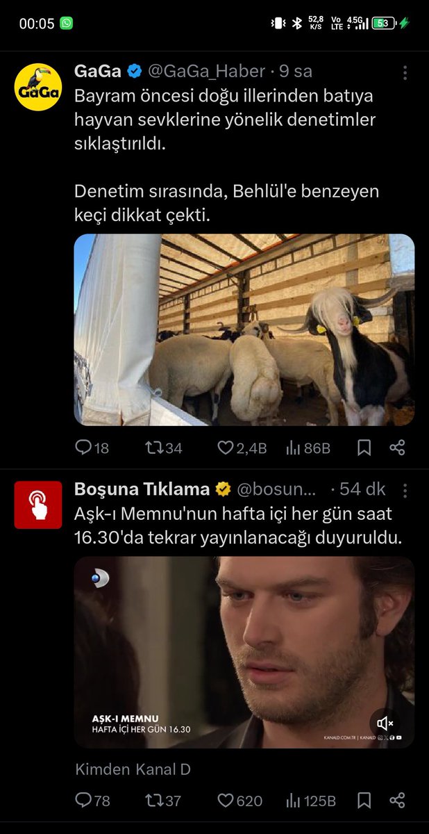 Azzylc's tweet photo. Denk gelmeye bak jdjdjd 
Behlül tutulması https://t.co/nEZSS3nyBh