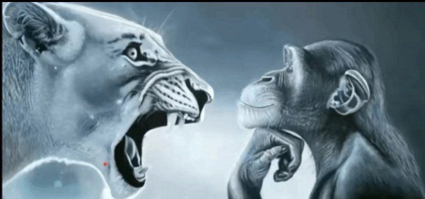 Mori3am's tweet photo. @idekkwhothisis @SpamsHood @GullahQueen843 @Antisocialback https://t.co/gKcHkuGzdZ