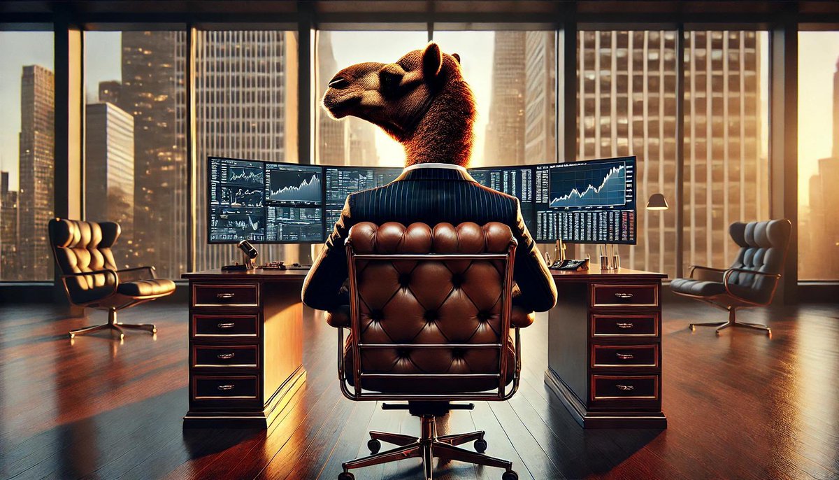 بعير الاستثمار 🐪 InvestmentCamel tweet media