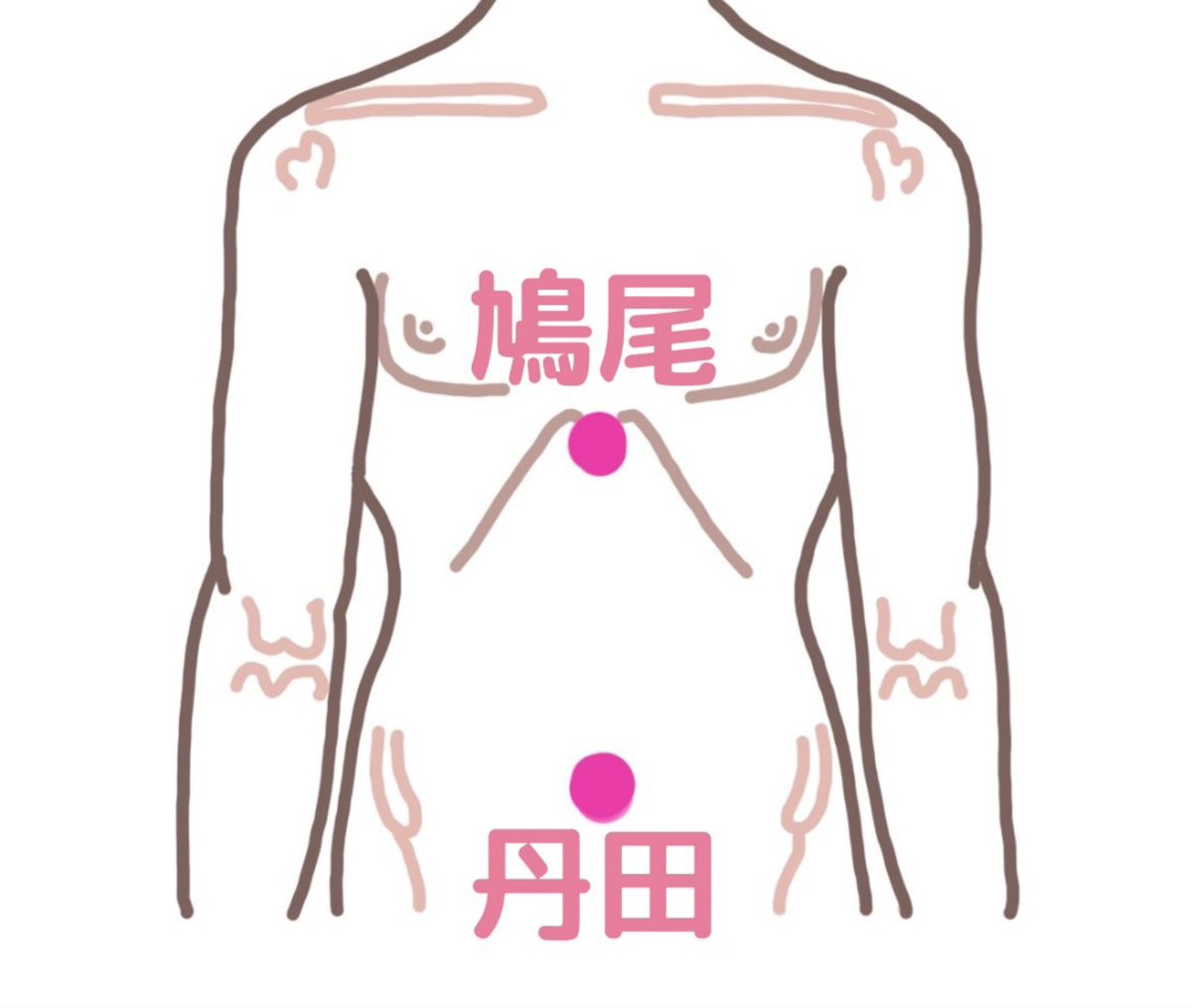 せいか丹田♻️一瞬再起動 tweet media
