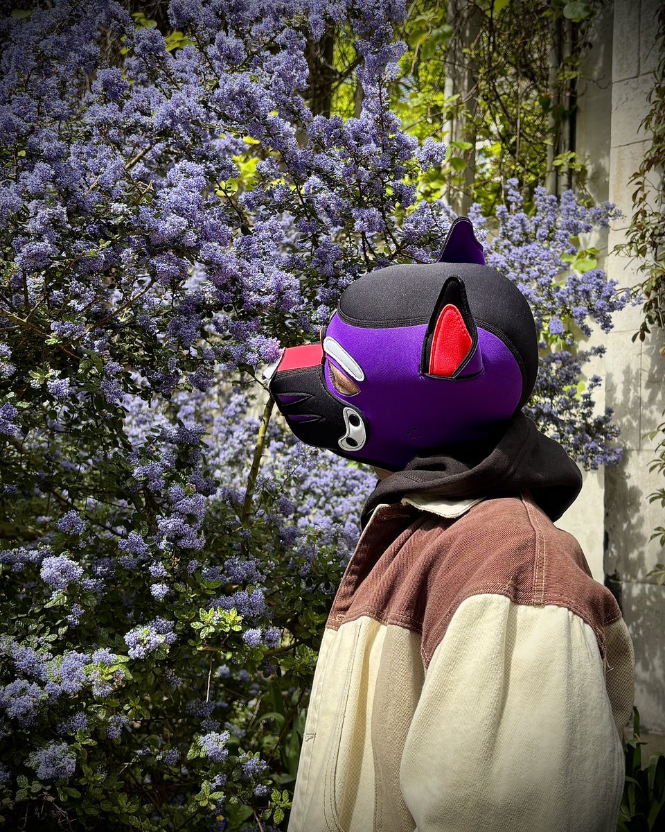 Something floral is in the air🪻

📸: <a href="/PupNeo_/">PupNeo</a>