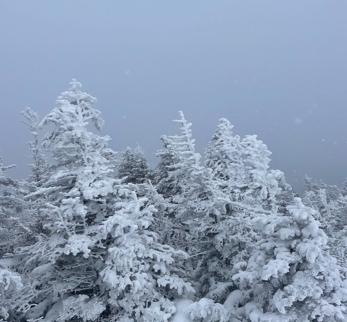 Tommy Horn (@tommyhornwx1) on Twitter photo A fresh coating of snow and lots of rime ice in the Adirondack High Peaks this morning above 3900’! ❄️🥶
<a href="/TylerJankoski/">Tyler Jankoski NBC5 📺</a> <a href="/GunnarConsolWx/">Meteorologist Gunnar Consol</a> <a href="/WasilenkoAlex/">Alex Wasilenko</a> <a href="/DHTheWeatherNut/">Western Mass Weather</a> <a href="/DurkinWeather/">Jack Durkin</a> <a href="/TomNiziol/">Tom Niziol</a> <a href="/EricSnitilWx/">Eric Snitil</a> <a href="/PeteWeatherBeat/">Meteorologist Peter Hall</a> <a href="/WxmanFranz/">𝕄𝕒𝕣𝕔 𝕁𝕣. 🌨️⛈</a> <a href="/JoshKozlowskiWX/">Josh Kozlowski</a> <a href="/ChrisMartzWX/">Chris Martz</a> <a href="/CBS6Steve/">Steve LaPointe</a> A fresh coating of snow and lots of rime ice in the Adirondack High Peaks this morning above 3900’! ❄️🥶
<a href="/TylerJankoski/">Tyler Jankoski NBC5 📺</a> <a href="/GunnarConsolWx/">Meteorologist Gunnar Consol</a> <a href="/WasilenkoAlex/">Alex Wasilenko</a> <a href="/DHTheWeatherNut/">Western Mass Weather</a> <a href="/DurkinWeather/">Jack Durkin</a> <a href="/TomNiziol/">Tom Niziol</a> <a href="/EricSnitilWx/">Eric Snitil</a> <a href="/PeteWeatherBeat/">Meteorologist Peter Hall</a> <a href="/WxmanFranz/">𝕄𝕒𝕣𝕔 𝕁𝕣. 🌨️⛈</a> <a href="/JoshKozlowskiWX/">Josh Kozlowski</a> <a href="/ChrisMartzWX/">Chris Martz</a> <a href="/CBS6Steve/">Steve LaPointe</a>