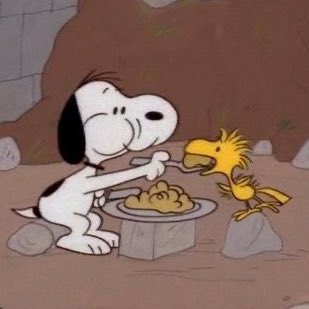 enhasnoopy (@snoopyenha) on Twitter photo 