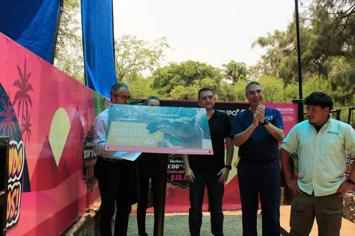 Nos llena de orgullo anunciar que Grupo VO se une a nuestros aliados comprometidos con la conservación al adoptar el hábitat de dromedario en Zooleón Parque de la Vida.
Tú también puedes ser parte de este gran cambio.
informes: 📲477- 790-42-51📧info@zooleon.org.mx
#Zooleón