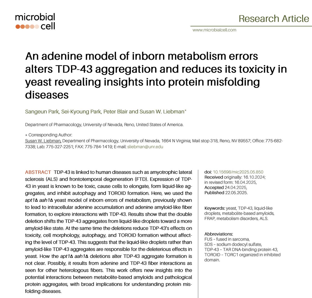 Microbial Cell (@microbialcell) on Twitter photo New in from Susan Liebman's lab <a href="/unevadareno/">University of Nevada, Reno</a>: "An adenine model of inborn metabolism errors alters TDP-43 aggregation and reduces its toxicity in yeast revealing insights into protein misfolding diseases" New in from Susan Liebman's lab <a href="/unevadareno/">University of Nevada, Reno</a>: "An adenine model of inborn metabolism errors alters TDP-43 aggregation and reduces its toxicity in yeast revealing insights into protein misfolding diseases"