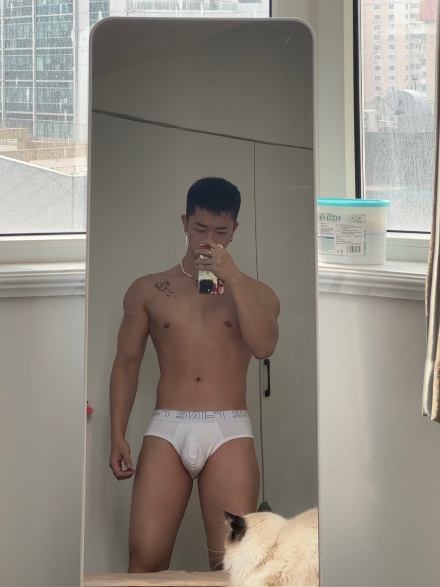 小狗飞碟🛸 (@alonya19) on Twitter photo 