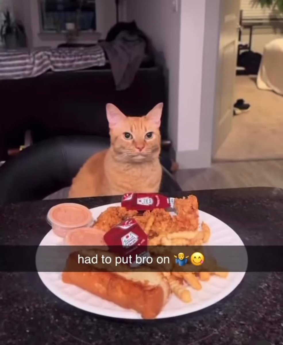 Brandon 🦂 (@thuislander) on Twitter photo 