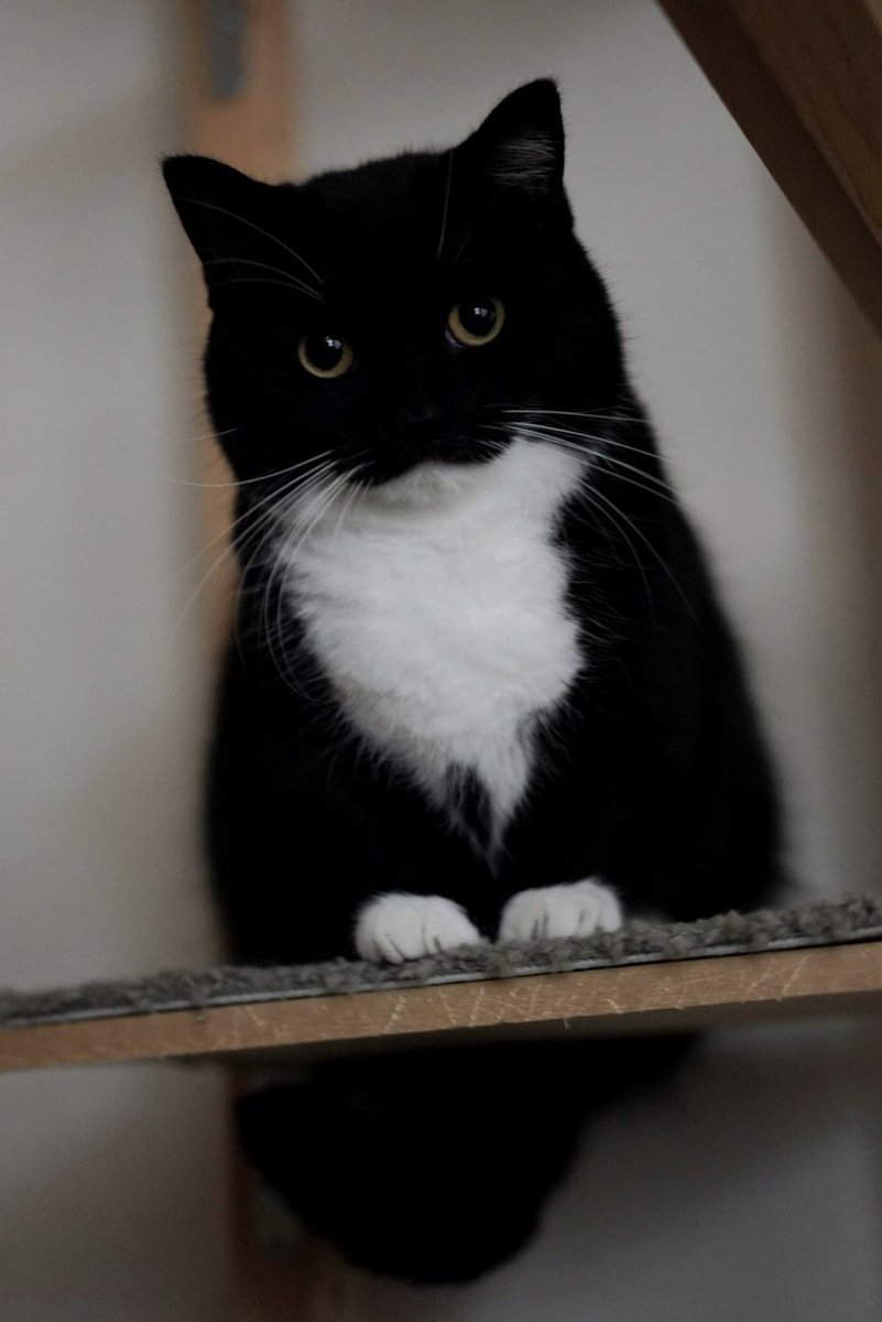 I'm listening. Speak :3