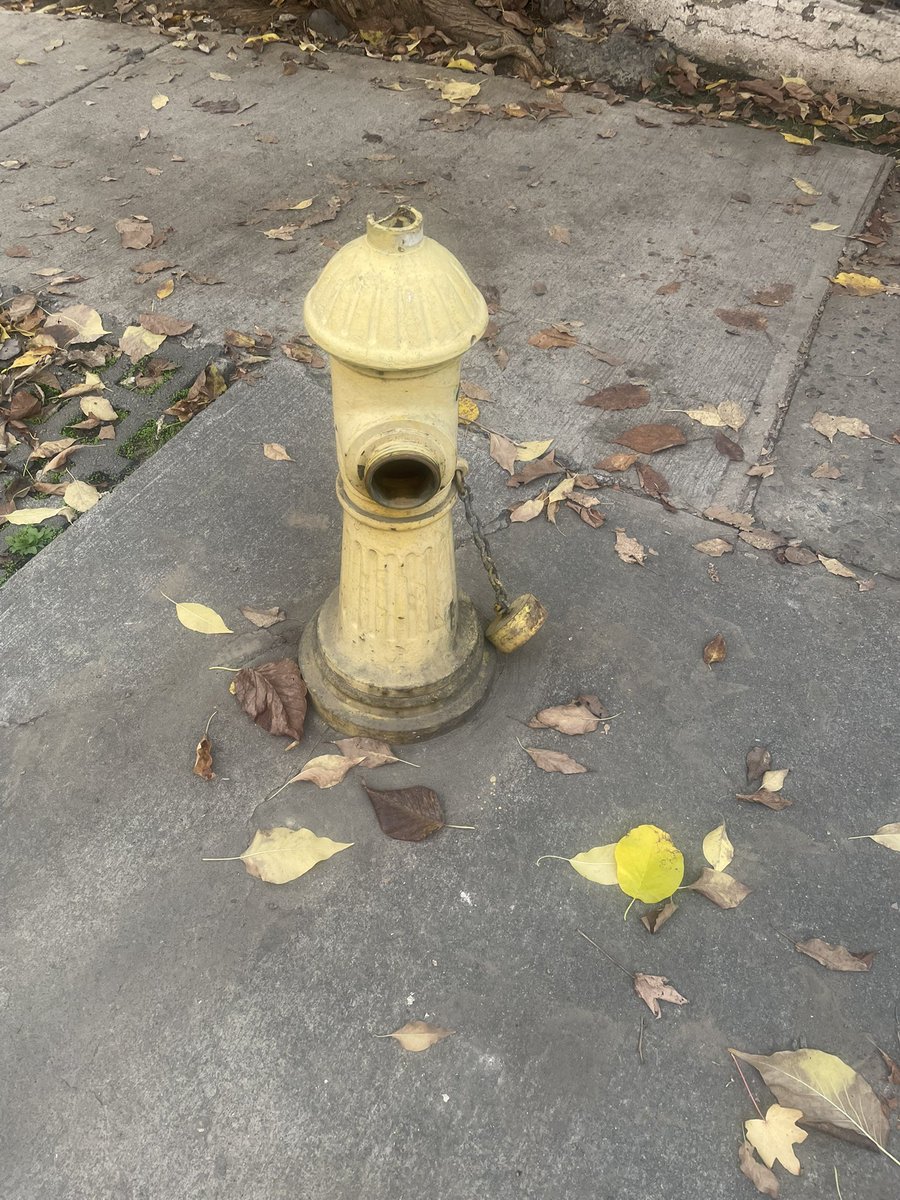 _Maria__Maria_'s tweet image. Grifo en Hernando de Magallanes frente al 1101 @aguas_andinas @Muni_LasCondes