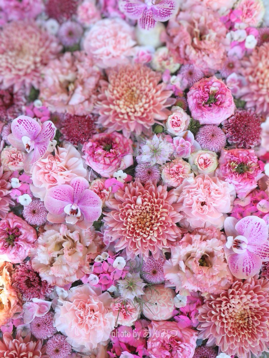 おはようございます♡