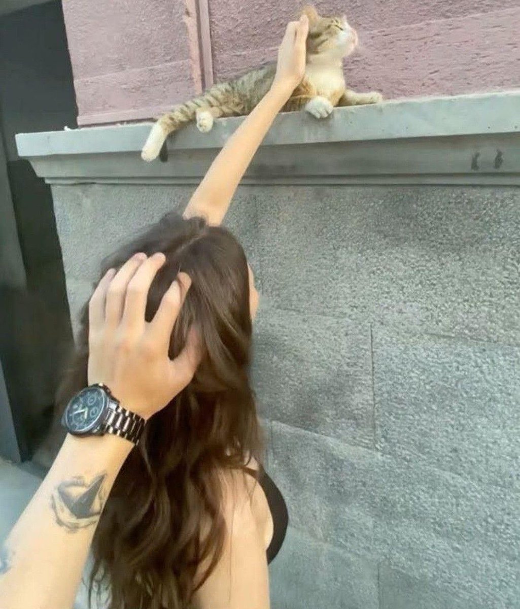 pedestrian's tweet image. 