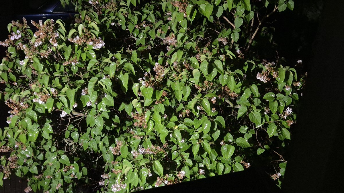 Скоро лето...