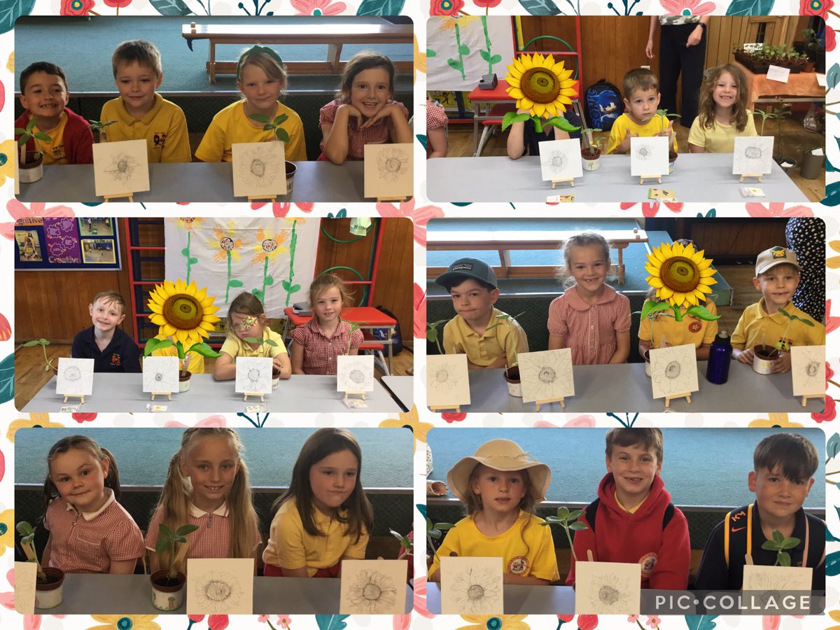 Our enterprise sale at The Sunflower Shack proved we are truly #enterprisingcreativecontributors We sold all our beautiful crafts and plants and made a great profit! Thank you to all our customers! 🌻#CGIMATHSD #CGISCI #CGIEXARTS