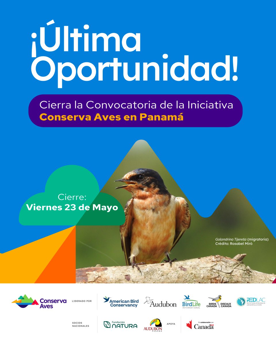 ⏳ ¡Atención, Panamá! ¡Tu momento es ahora!

📢La convocatoria de Conserva Aves cierra este viernes 23 de mayo a la 1:00 p.m. ¡Es tu última oportunidad para aplicar! 🦜✨ 🌱

#ConservaAves
#TerritoriosDeVidaPanamá
#Conservación
#AvesyConservación
#BiodiversidadSaludable