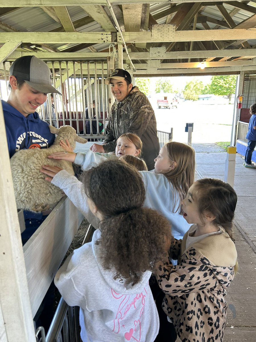 Kate Seifert tweet media